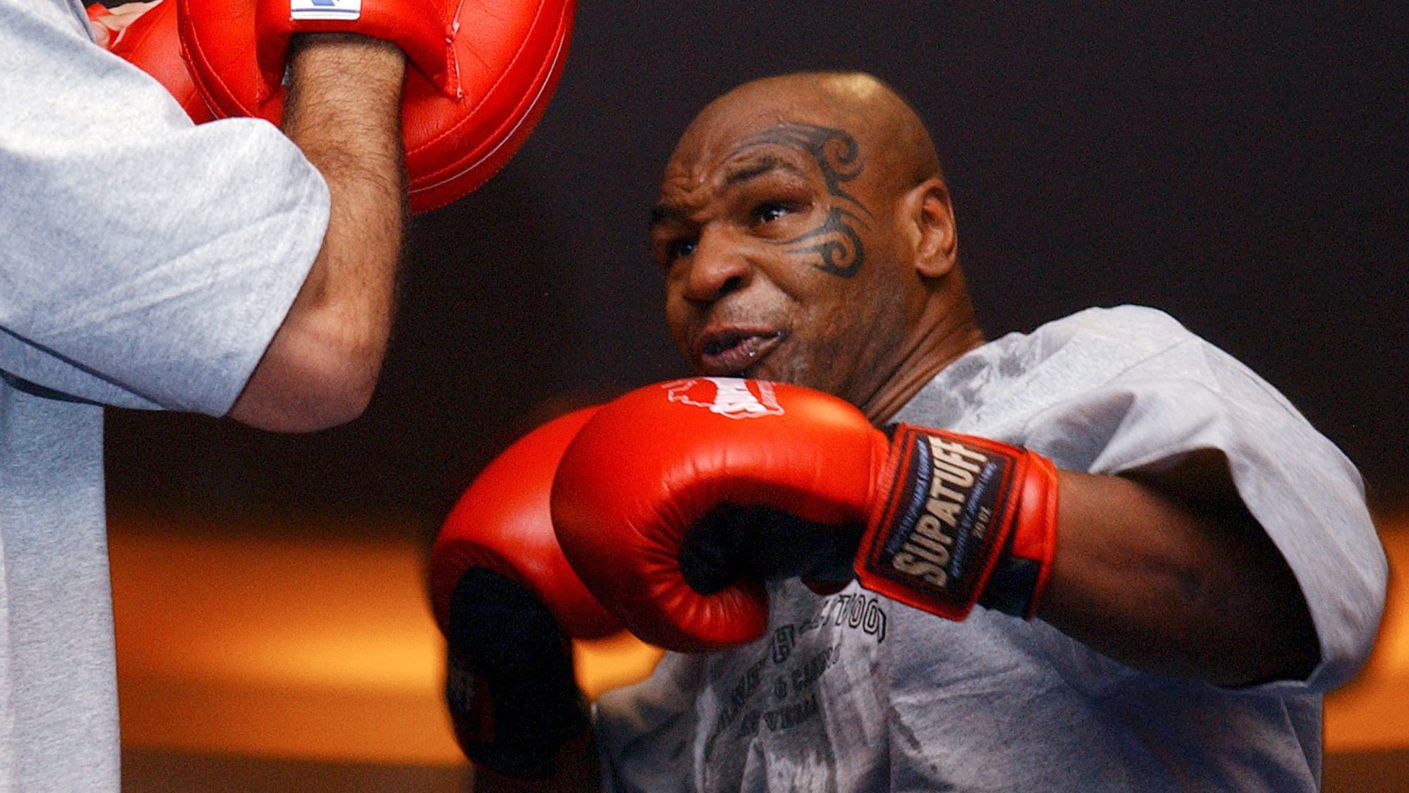 Former heavyweight champ Mike Tyson in Capital Region for MMA ringside commentary