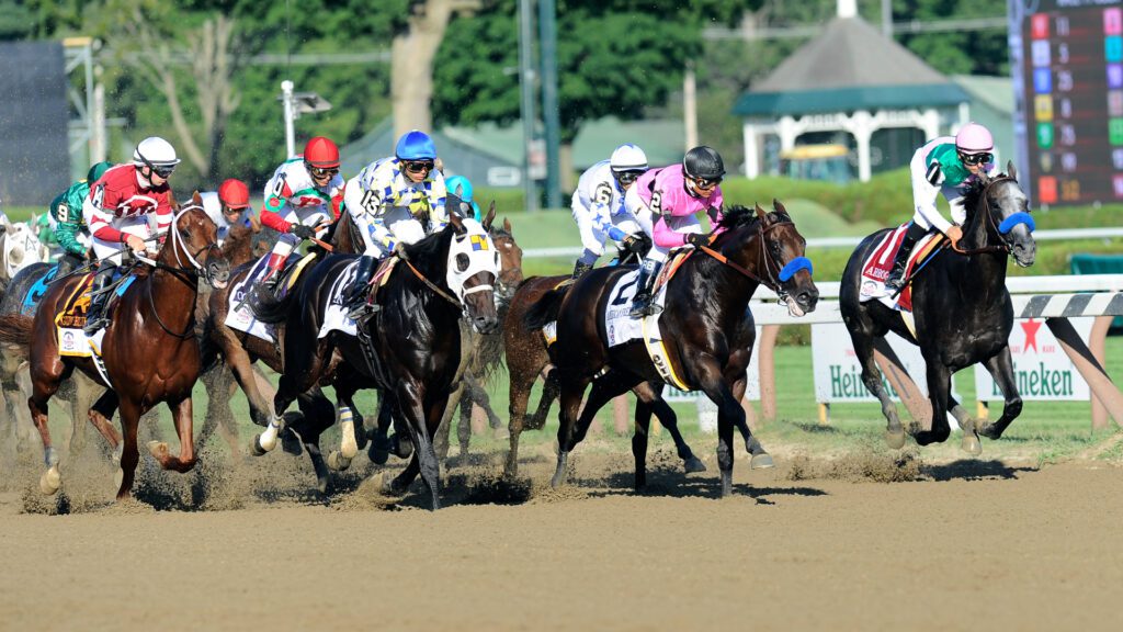 12th horse dies at Saratoga Race Course this year NewsChannel 13