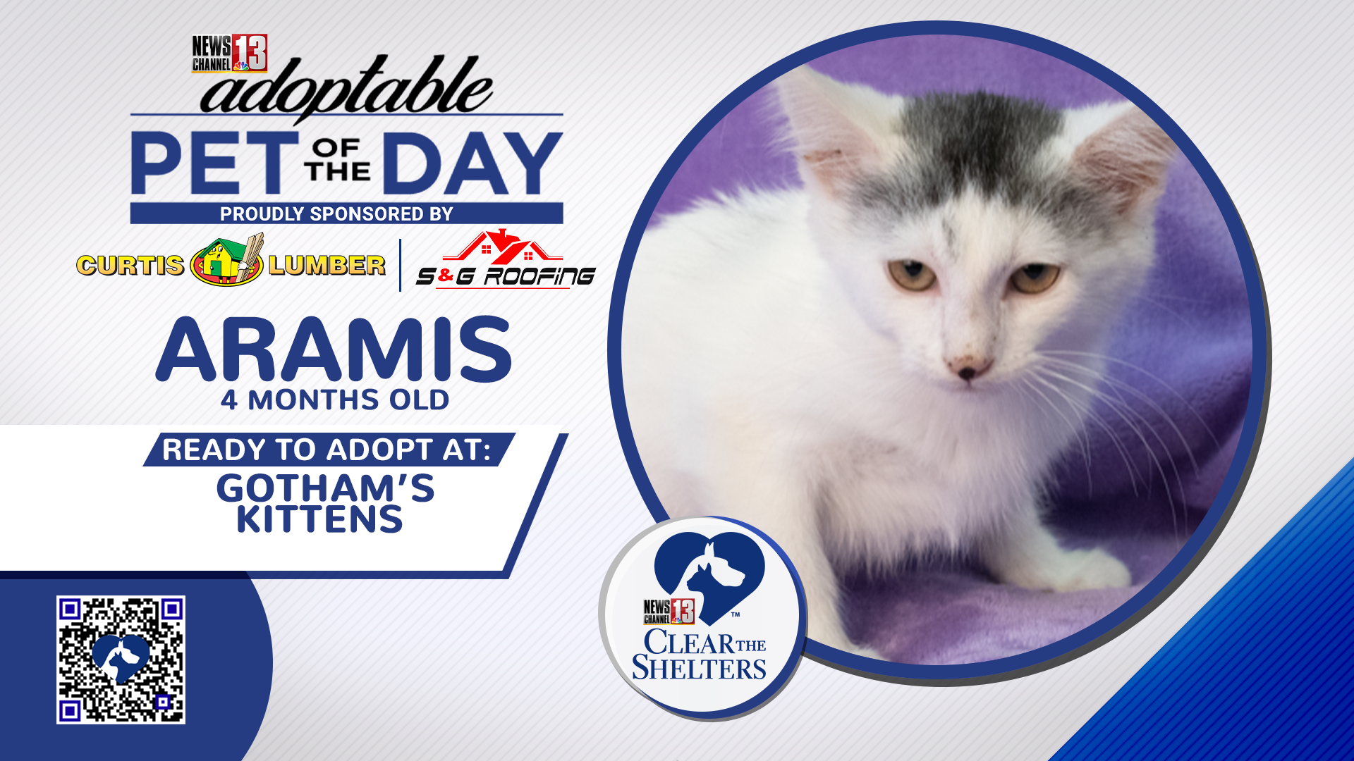 Adoptable Pet of the Day Aramis