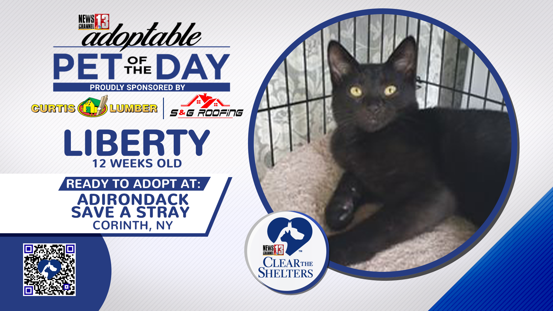 Adoptable Pet of the Day Liberty