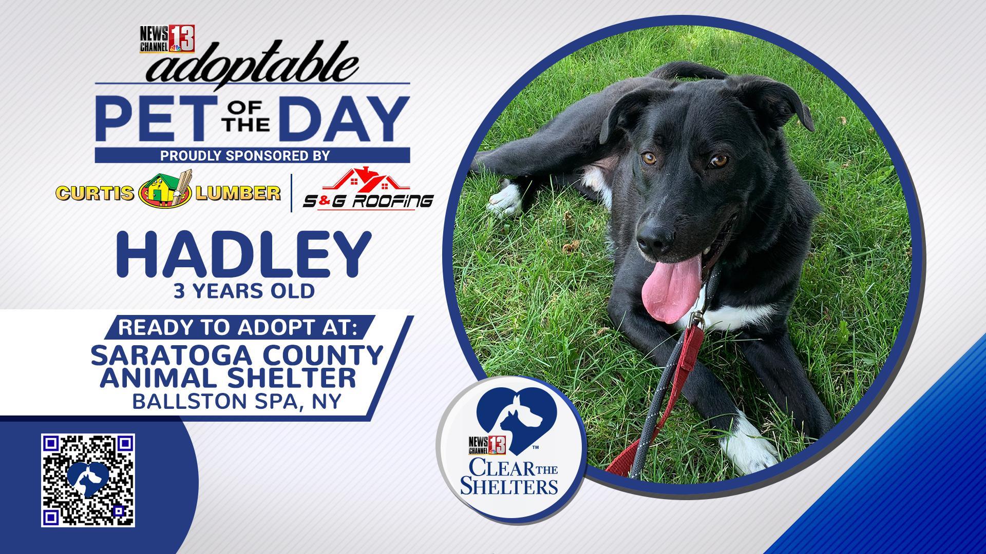 Clear The Shelters Hadley FS
