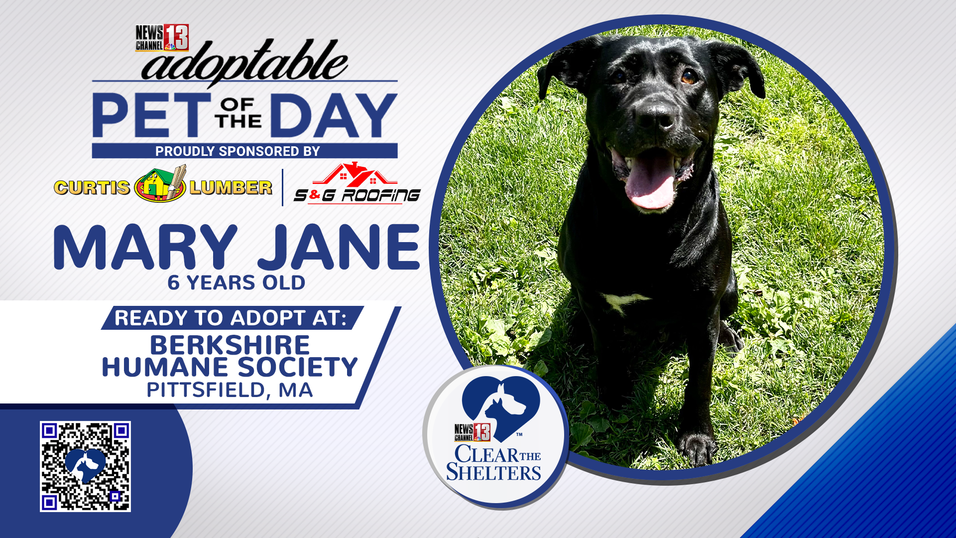 Clear The Shelters Mary Jane FS