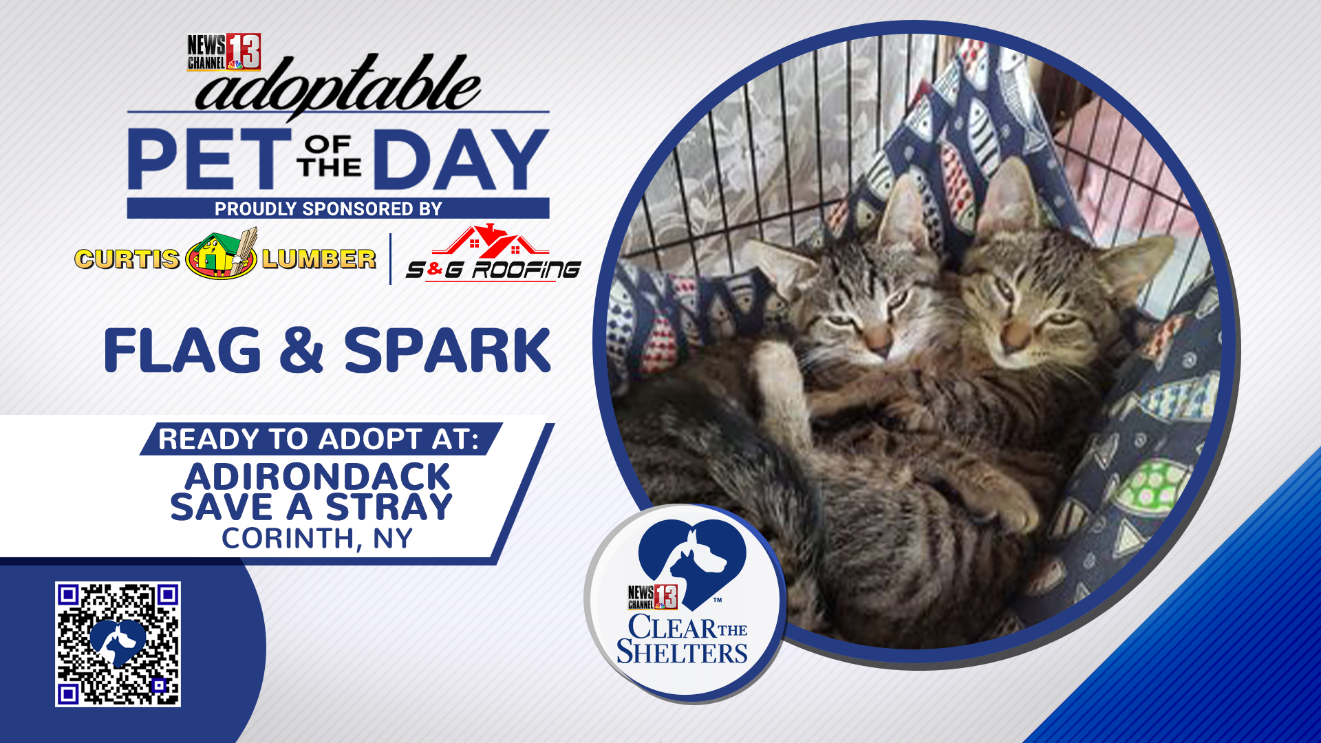 NEW Clear The Shelters Flag and Spark FS