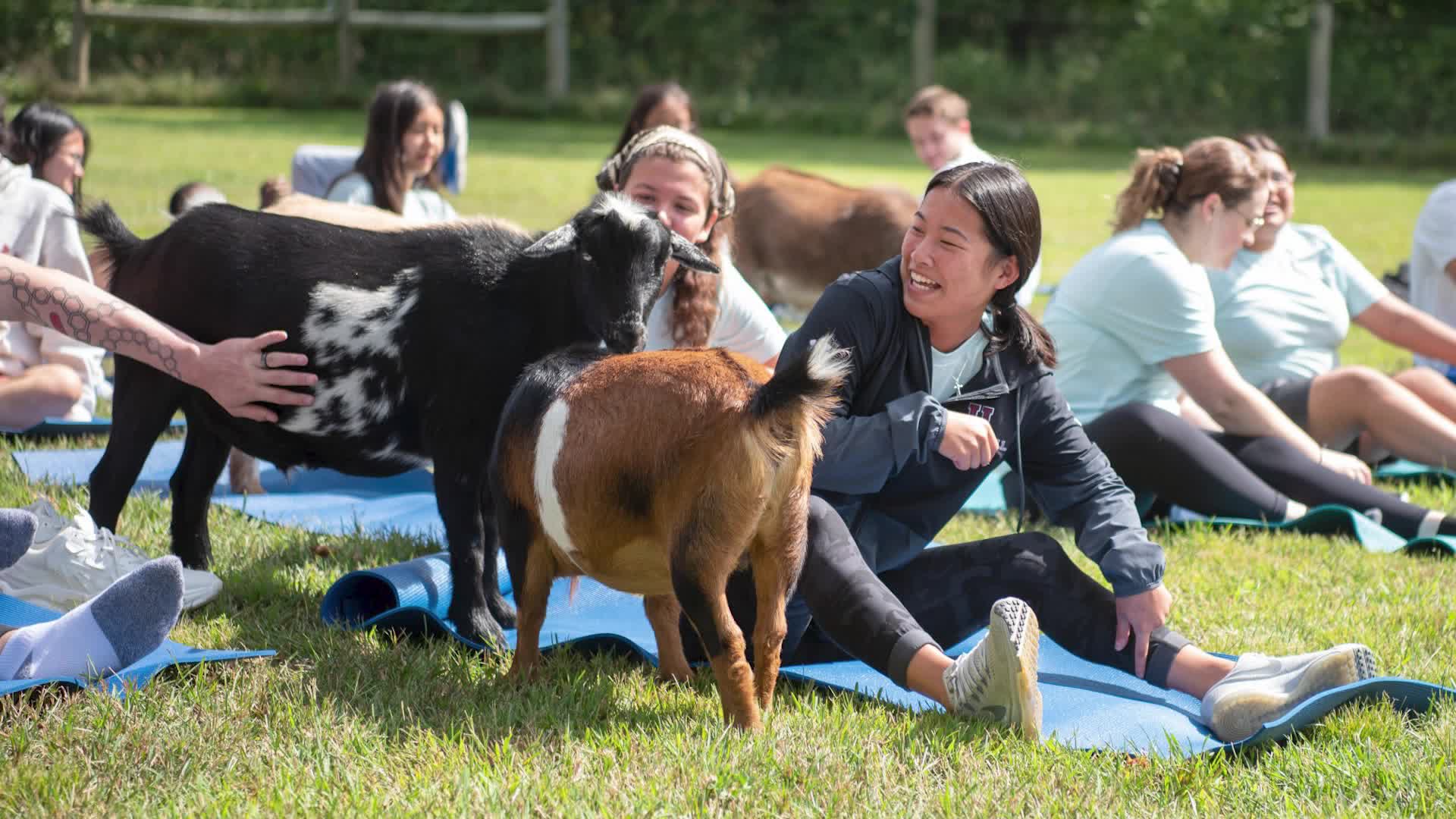 Goat yoga helps welcome new class to Union College