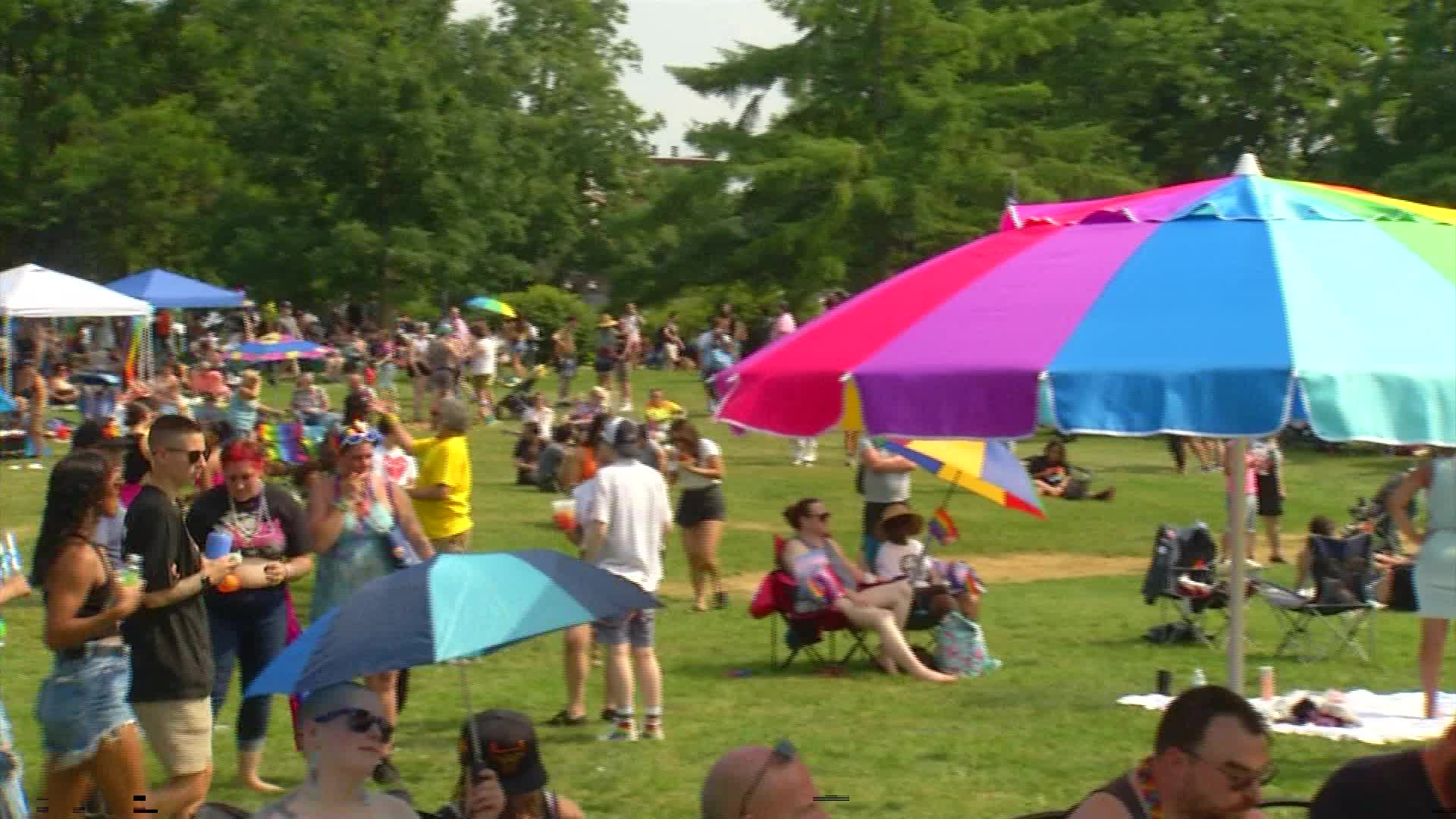 Albany's Pride Parade and Festival draws large turnout