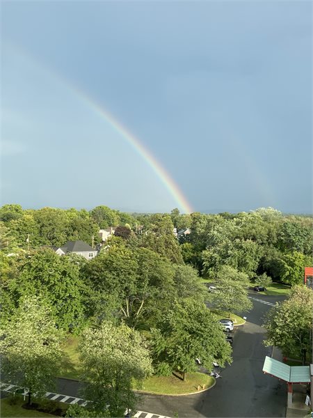 Saratoga-Springs-rainbow-Jo-Wasalinko