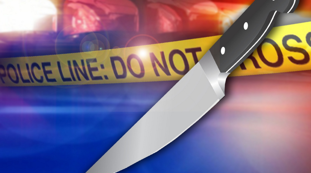 2 people stabbed in domestic incident in Albany