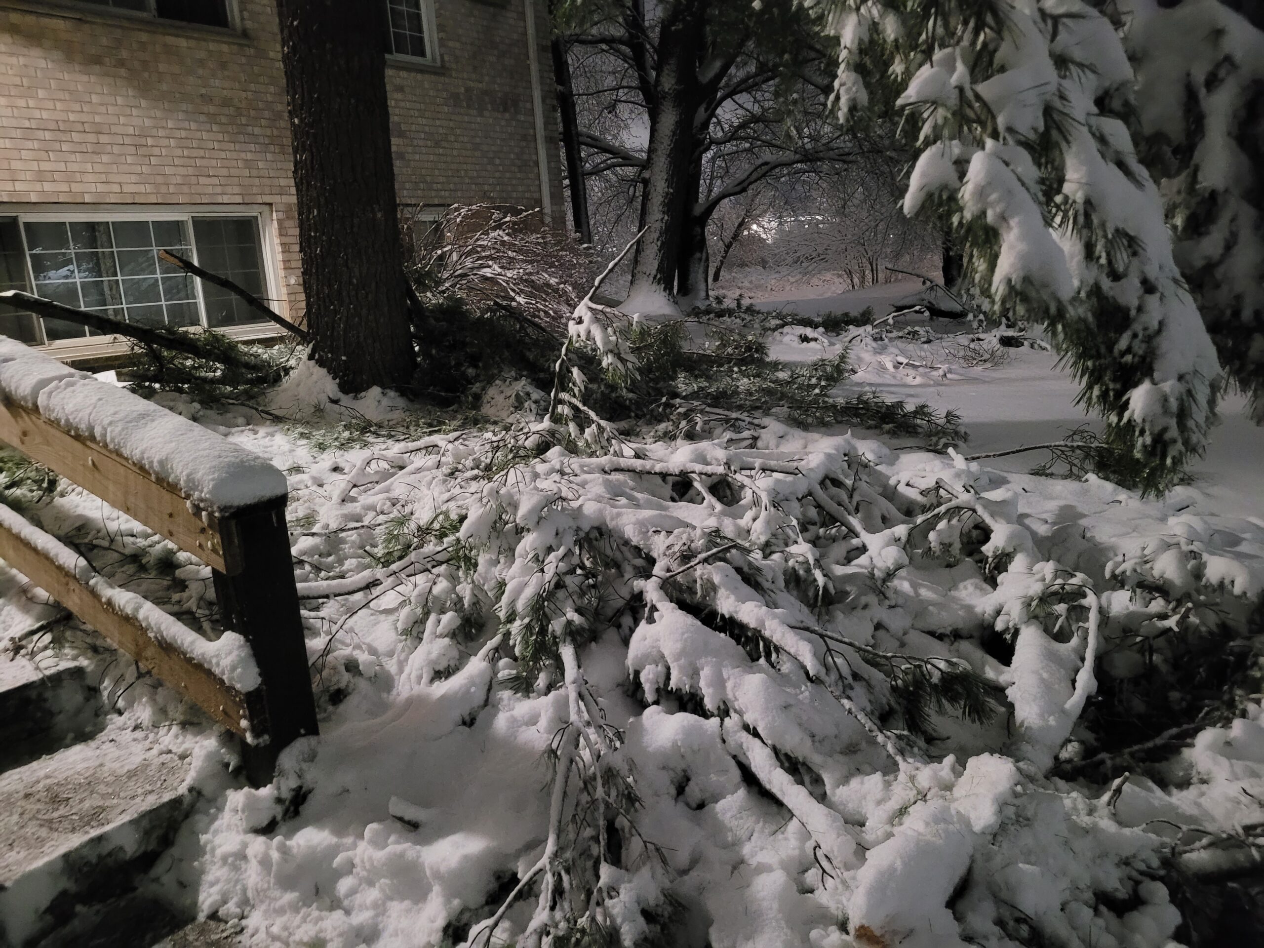 Branches down in Menands 3.24 1230am