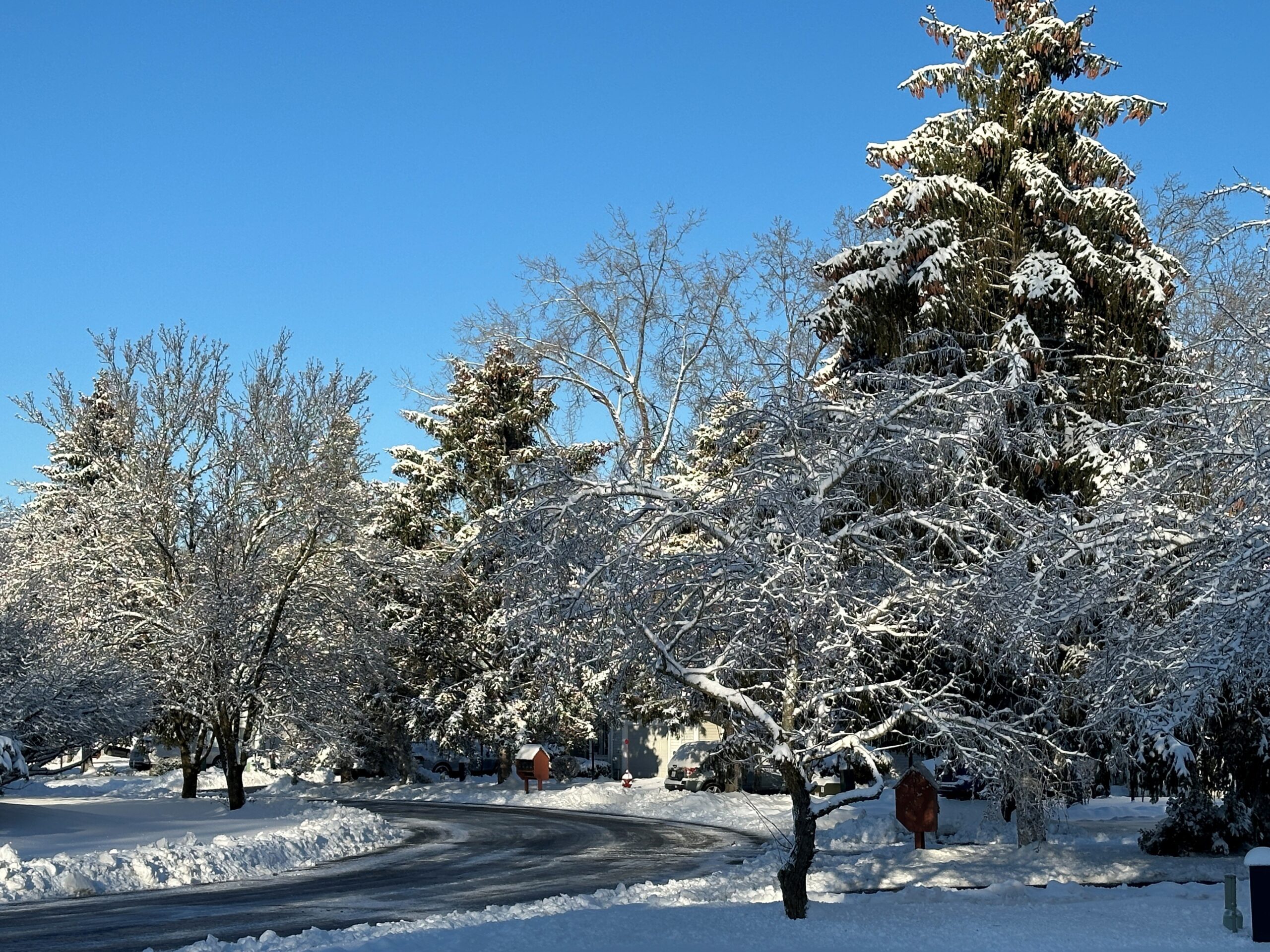 Clifton Park snowy scene