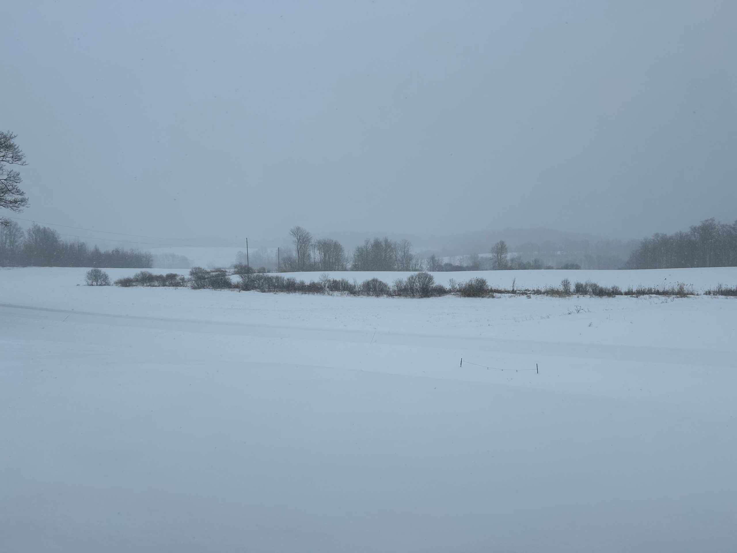 Highest point in Argyle NY 1211ft elevation looking towards Vermont, 15in snow report