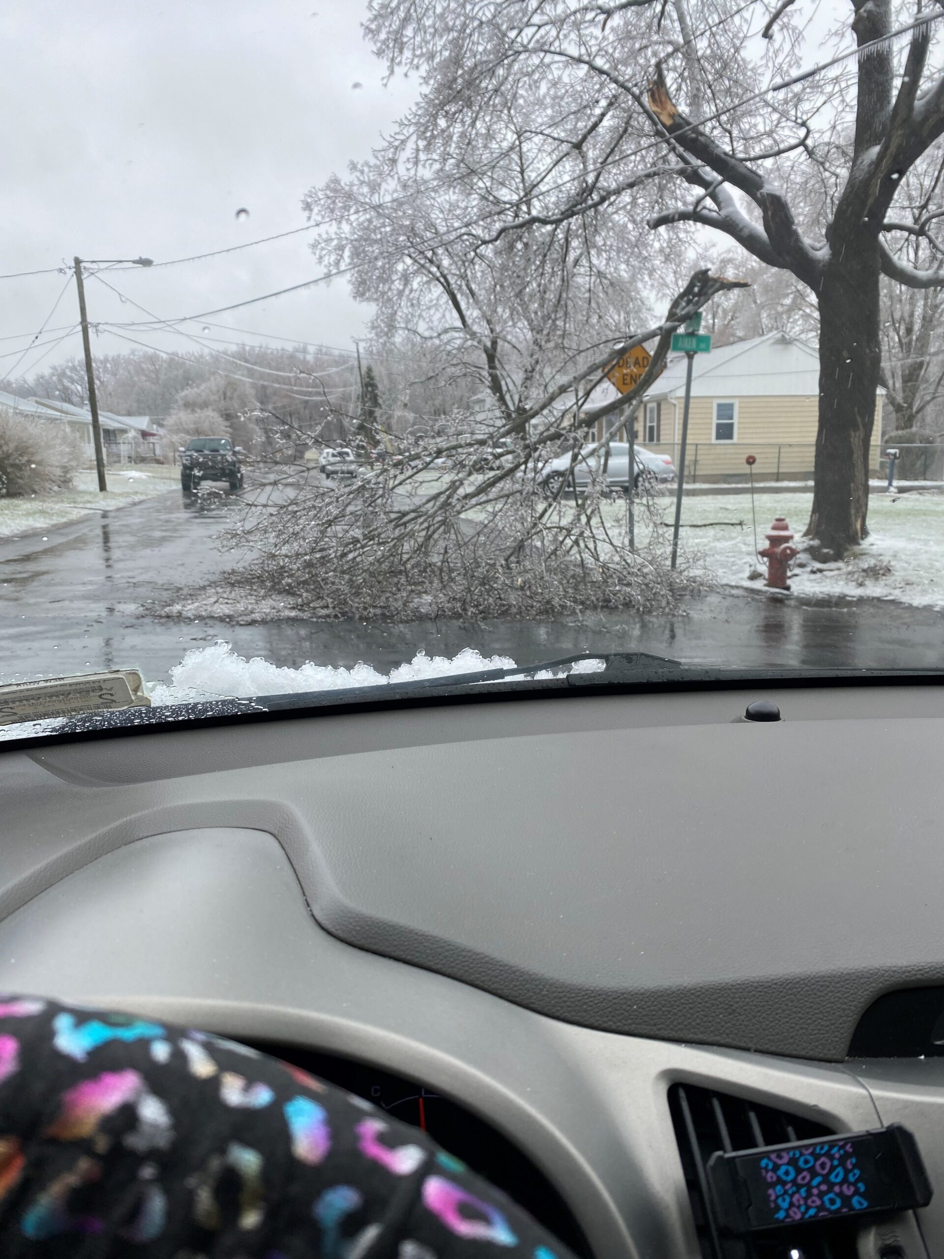 Tree down Rensselaer_208pm