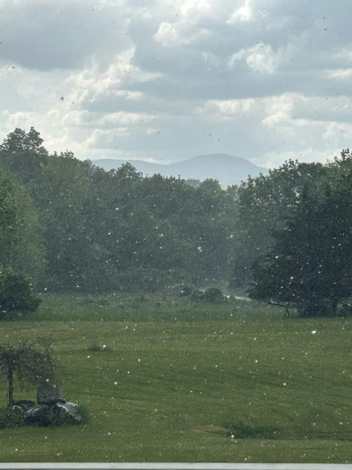 Catskill Hail - AnnMarie BreMiller