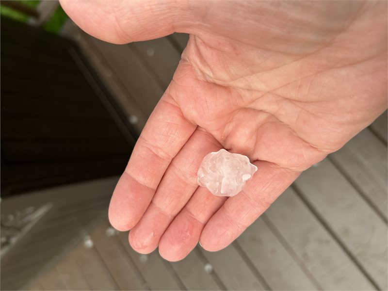 Guilderland Hail - Catherine Kowalcyk