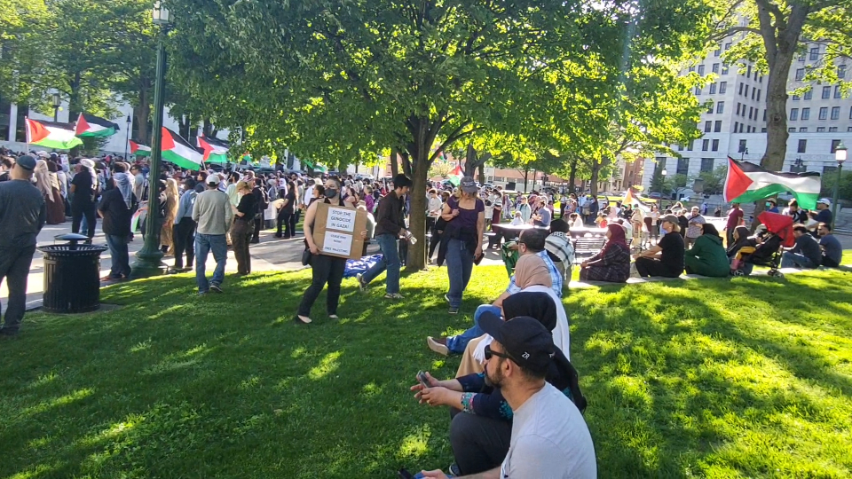 Palestinian supporters rally outside state Capitol in Albany