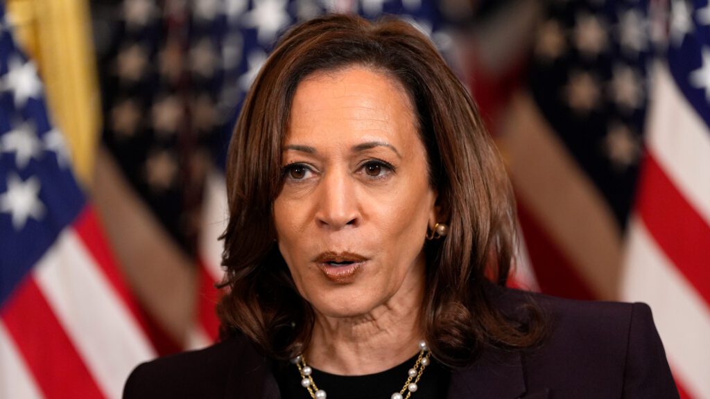 Excitement builds for Vice President Kamala Harris’ Pittsfield visit ...