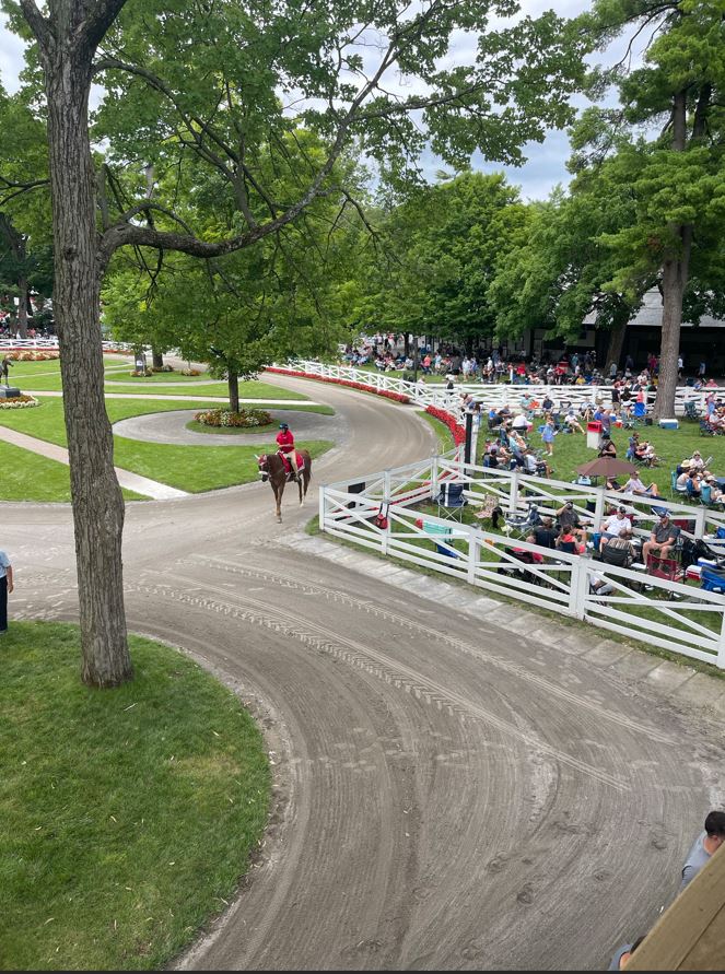 Saratoga Horse