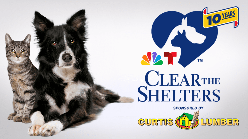 Clear The Shelters