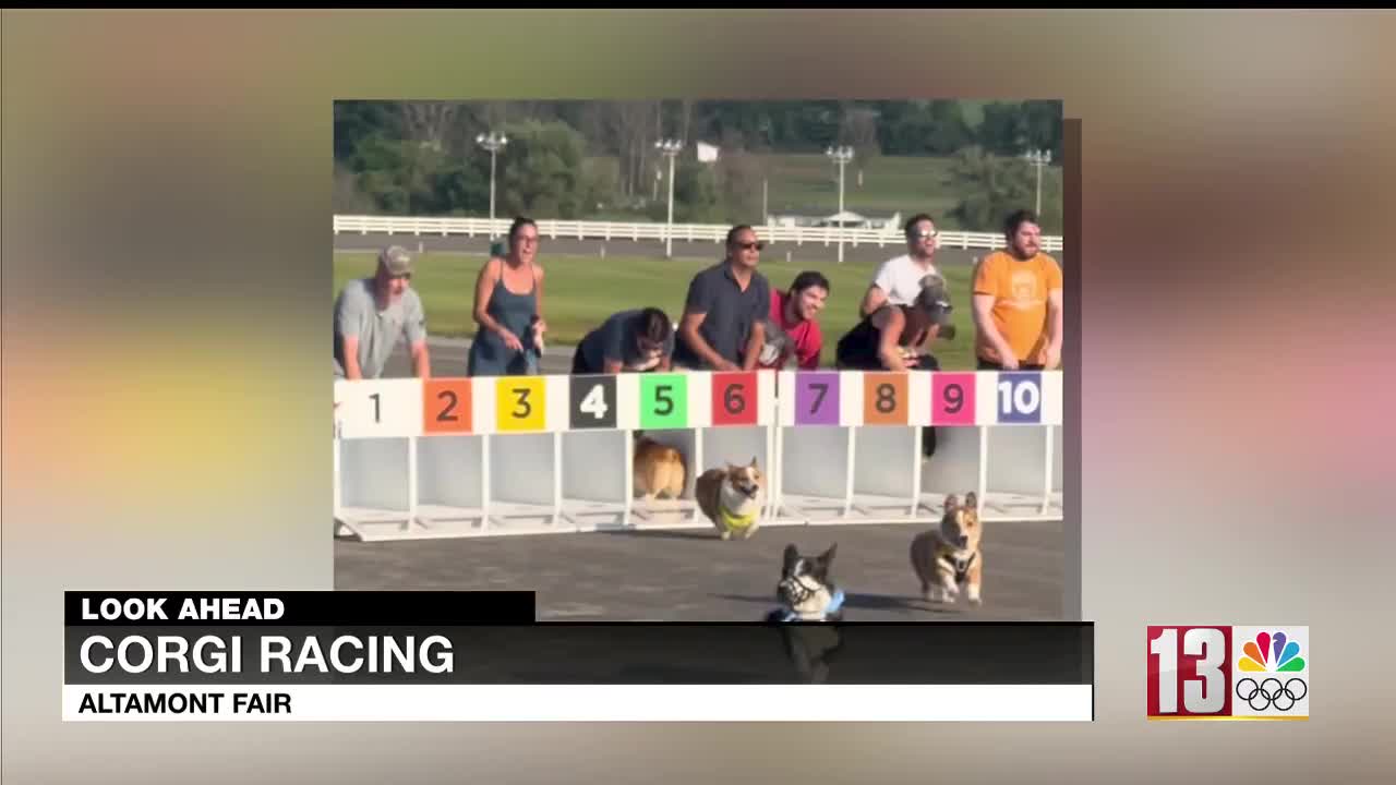 set to take off at Altamont Fair NewsChannel 13