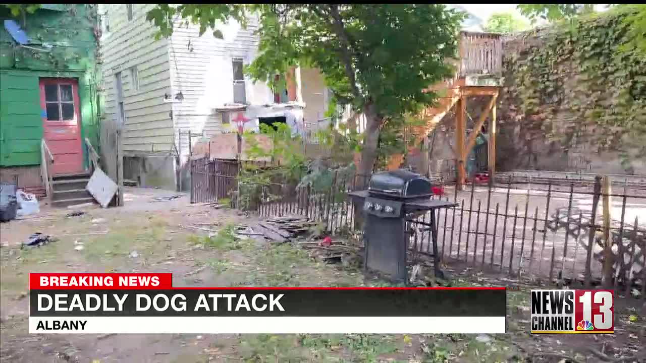 Police: Schenectady man dies after being attacked by eight or nine dogs